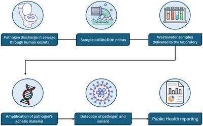 A narrative review of wastewater surveillance: pathogens of concern, applications, detection methods, and challenges
